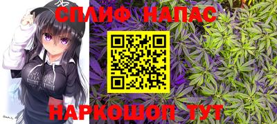 молекула духа Бузулук
